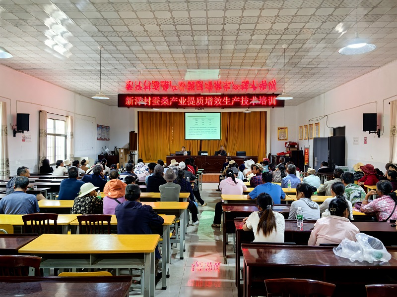 “省+县”织就蚕桑产业振兴好“钱”景